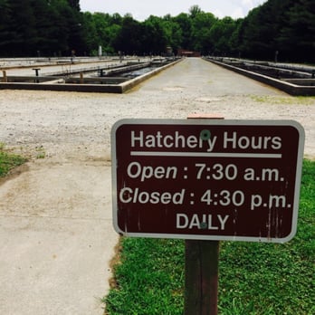 Buford Trout Hatchery - Operation Hours - Fishing Near Me - Cumming, Georgia Buford Trout Hatchery - Operation Hours - Fishing Near Me - Cumming, Georgia