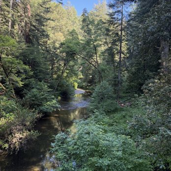 Samuel P Taylor State Park - Lagunitas creek! - Parks Near Me - Lagunitas, California