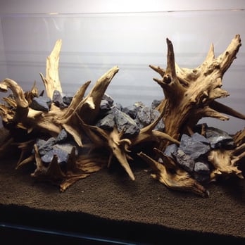 Aquarium Design Group - Aquarium Services Near Me - Houston, Texas
