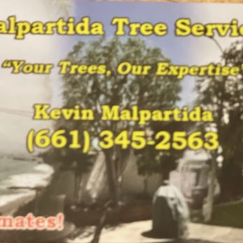 Malpartida Tree Service - Phone information - Tree Services Near Me Malpartida Tree Service - Phone information - Tree Services Near Me