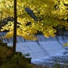 Mill Creek Metroparks gift card