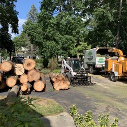 M. McHugo Tree Service