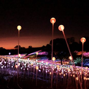 Sensorio - Beautiful art installation - Art Galleries Near Me - Paso Robles, California Sensorio - Beautiful art installation - Art Galleries Near Me - Paso Robles, California