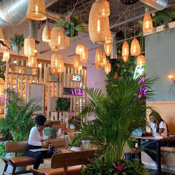 Wild - Super cute aesthetic! - Coffee & Tea Near Me - Houston, Texas