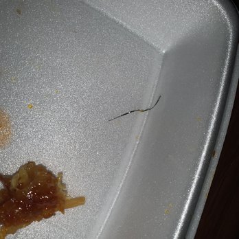 China Wok - Metal in my food - Chinese Near Me - Bellflower, California China Wok - Metal in my food - Chinese Near Me - Bellflower, California