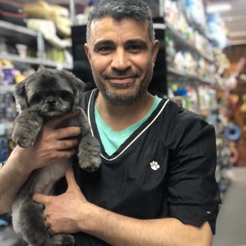 Pet Promise - Mike and CocoPuff - Pet Stores Near Me - Brooklyn, New York