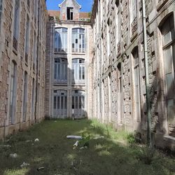 Parque Dom Carlos I - Academy Ruins