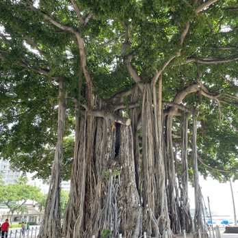 Waikiki Beach - Beaches Near Me