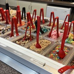 Sugar Berry Frozen Yogurt