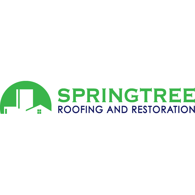 Slide of Springtree Restoration- Gainesville