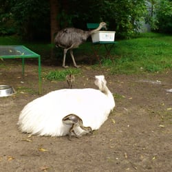 Tiergarten
