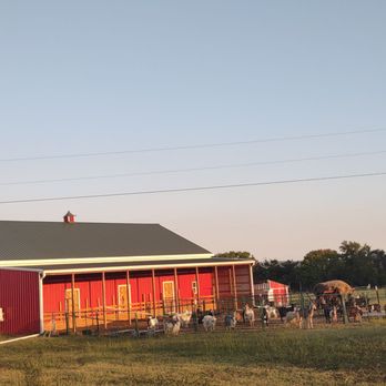 Dog Cottage - Pet Boarding Near Me - Van Buren, Arkansas