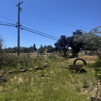 Suncatcher Farm - Pick Your Own Farms Near Me - Petaluma, California Suncatcher Farm - Pick Your Own Farms Near Me - Petaluma, California