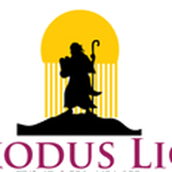 Exodus Lice Solutions