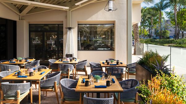 Sheraton Park Hotel at the Anaheim Resort by null