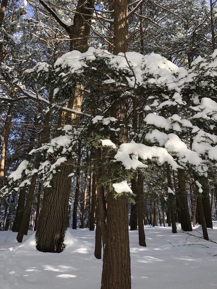 RMSC Cumming Nature Center