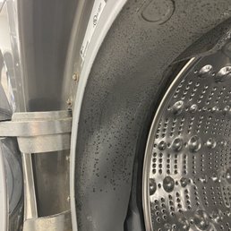 Every single washing machine has a layer of mold.