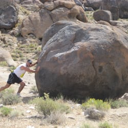 Gut Check Fitness