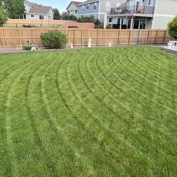 Electric Lawn Care - Lawn Services Near Me Electric Lawn Care - Lawn Services Near Me