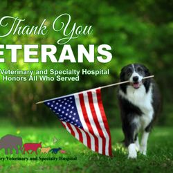 Hickory Veterinary and Specialty Hospital
