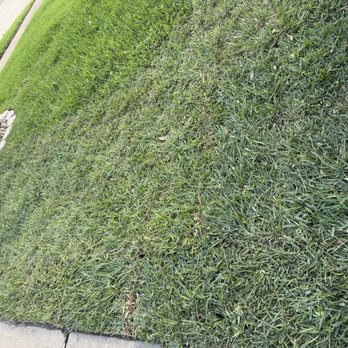 H&P Home Services - Landscaping Near Me - Katy, Texas H&P Home Services - Landscaping Near Me - Katy, Texas
