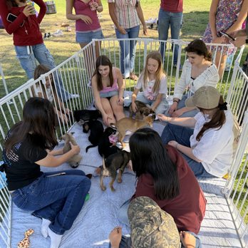The Cantu Foundation - Multiple girls playing with pups. This gives an idea of pen size. - Animal Shelters Near Me The Cantu Foundation - Multiple girls playing with pups. This gives an idea of pen size. - Animal Shelters Near Me