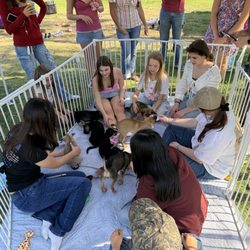 The Cantu Foundation - Multiple girls playing with pups. This gives an idea of pen size.