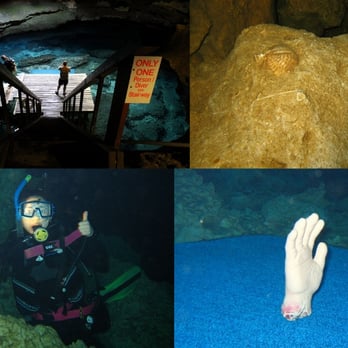 Devil's Den Prehistoric Spring - inside and underwater - Scuba Diving Near Me - Williston, Florida Devil's Den Prehistoric Spring - inside and underwater - Scuba Diving Near Me - Williston, Florida