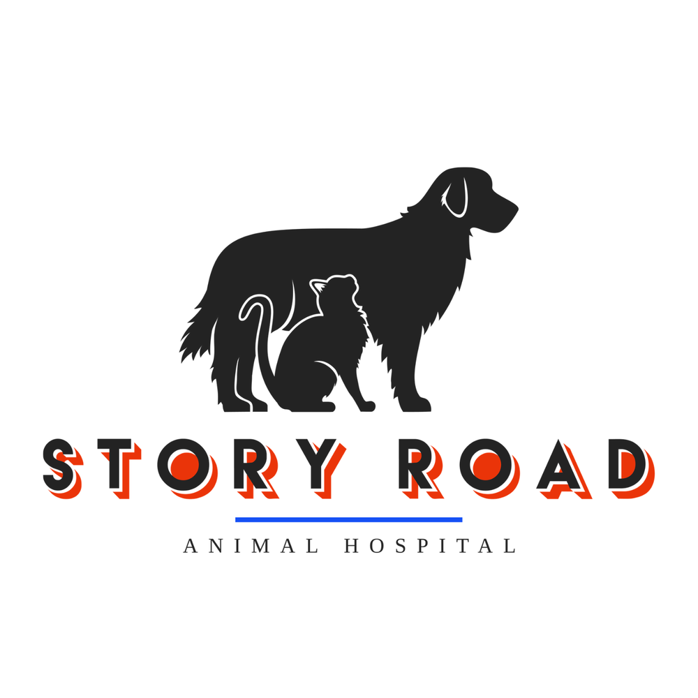 STORY ROAD ANIMAL HOSPITAL Updated September 2024 42 Photos & 36 Reviews 600 North Story