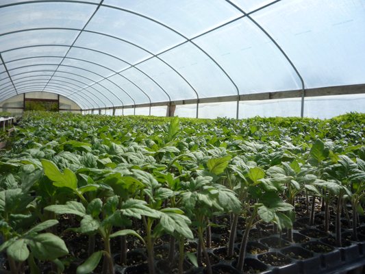 Riverdog Farm by null