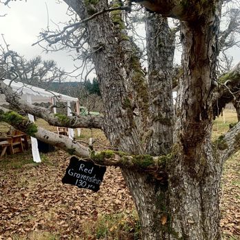 Gowan’s Cider - Cideries Near Me - Philo, California