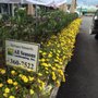 Photo of All Seasons Landscaping & Nursery