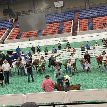 Kentucky State Fair - Cow costume contest - Stadiums & Arenas Near Me - Louisville, Kentucky Kentucky State Fair - Cow costume contest - Stadiums & Arenas Near Me - Louisville, Kentucky