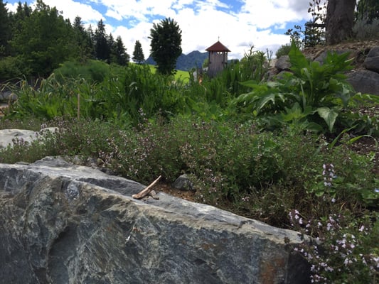 Burghotel Bären by null