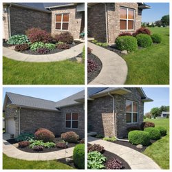 Martin's Landscape Revival - Hedge Trimming and mulching.
(Black)