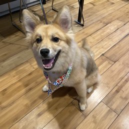Nina very happy!