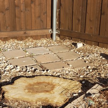Golden Tree Maintenance - Much more room in our small yard, now time to expand the garden! - Tree Services Near Me - Lewisville, Texas