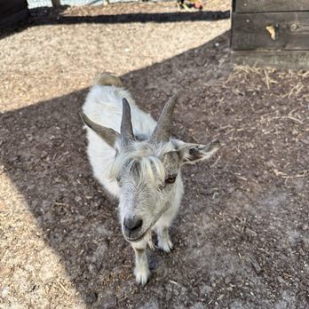 Hogan’s Place - Attraction Farms Near Me - Gibsonton, Florida