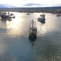 Alaska Healthy Seafoods - Fresh wild Salmon off the drift boats