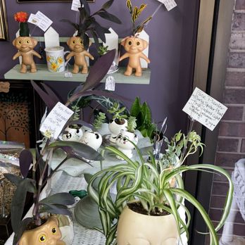 Quaint Shop - Various house plants in specialized planters - Antiques Near Me - Rockford, Illinois Quaint Shop - Various house plants in specialized planters - Antiques Near Me - Rockford, Illinois