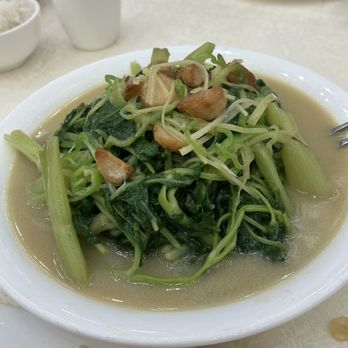 Fortune Palace Restaurant - Morning glory - Dim Sum Near Me - Brooklyn, New York Fortune Palace Restaurant - Morning glory - Dim Sum Near Me - Brooklyn, New York