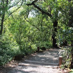 The Path to the winery The Path to the winery