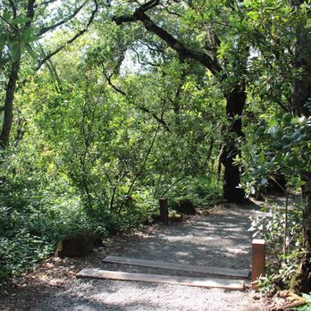 Chappellet - The Path to the winery - Wineries Near Me - Saint Helena, California Chappellet - The Path to the winery - Wineries Near Me - Saint Helena, California