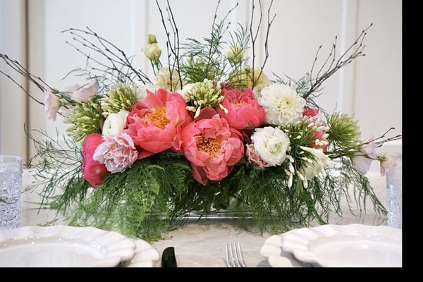 Bee & Pollen by null