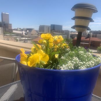 City Floral - Flowers are thriving! - Nurseries & Gardening Near Me - Denver, Colorado City Floral - Flowers are thriving! - Nurseries & Gardening Near Me - Denver, Colorado