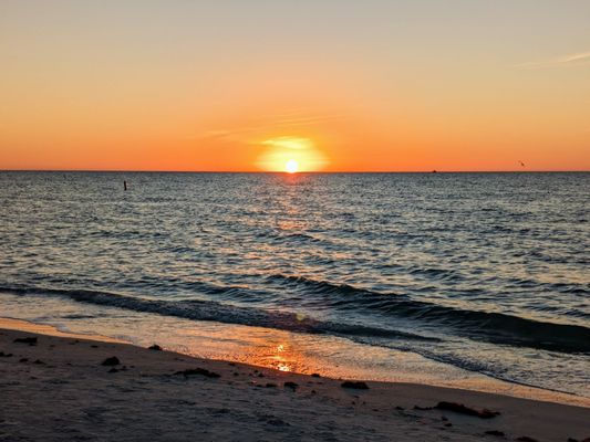Sand Key Park by null