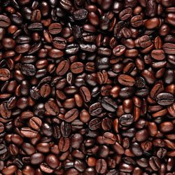 The Pawling Coffee Roaster