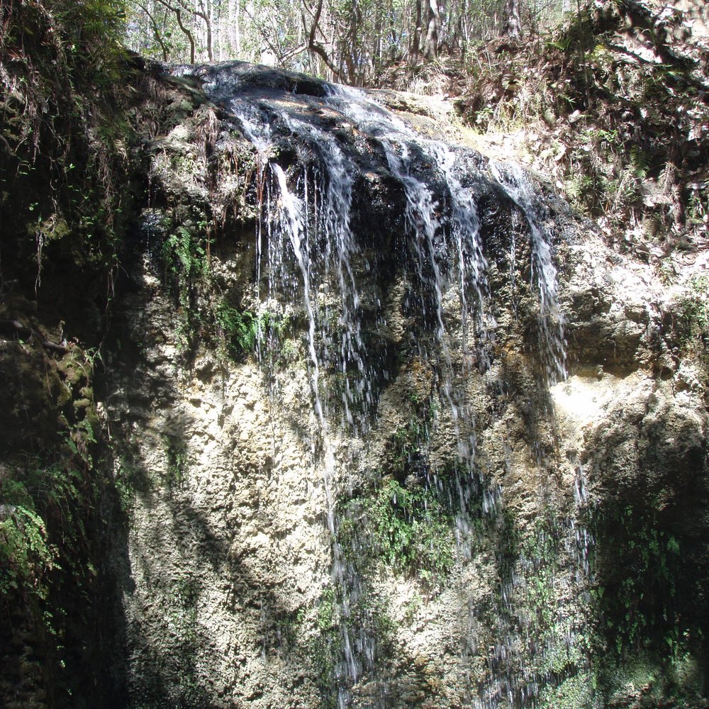 Falling Waters State Park - The waterfall. - Parks Near Me - Chipley, Florida Falling Waters State Park - The waterfall. - Parks Near Me - Chipley, Florida
