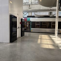 Gare Aéroport Charles-de-Gaulle 2 TGV