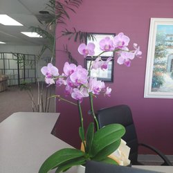 Chris Clark Chiropractic - Gorgeous clean and the Best Chiro!!! Plants are nice too inside office. I'm lucky to have Dr. CHRIS Clark!!!!!!@@@@
